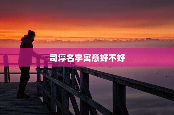 司淳名字寓意好不好