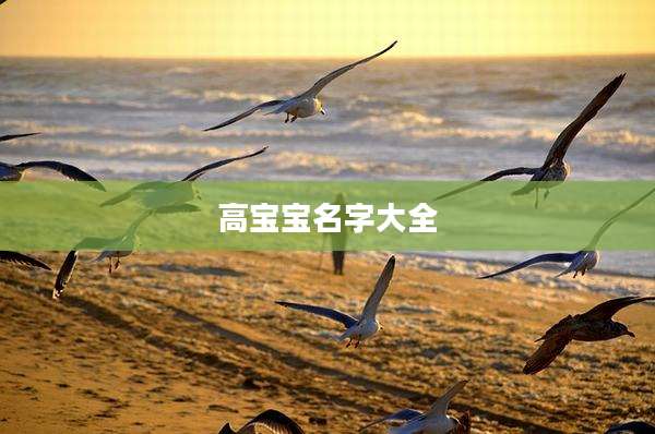 高宝宝名字大全