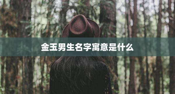 金玉男生名字寓意是什么