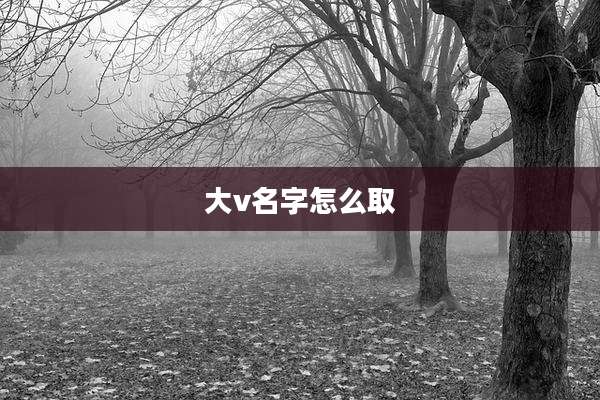 大v名字怎么取