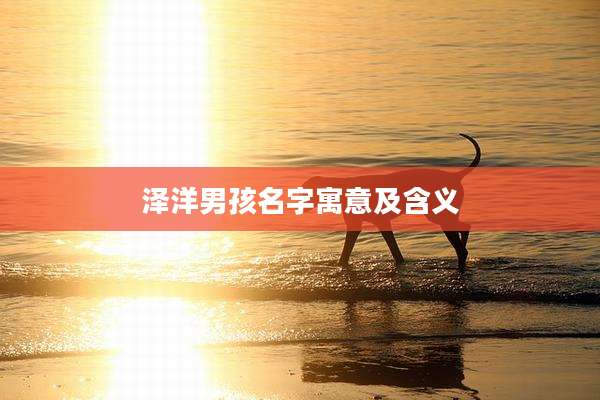 泽洋男孩名字寓意及含义