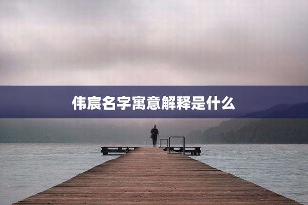 伟宸名字寓意解释是什么