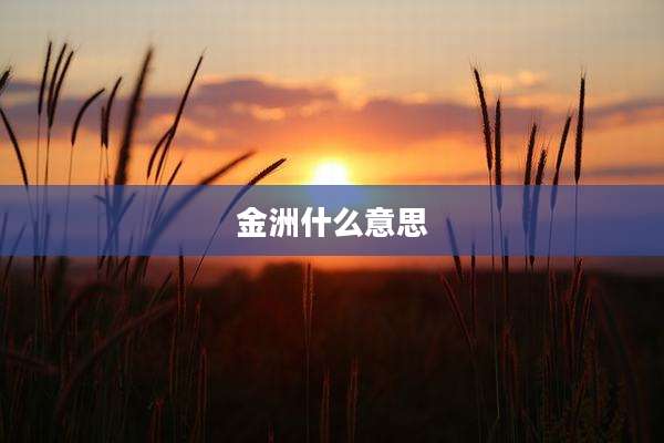 金洲什么意思
