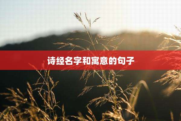 诗经名字和寓意的句子