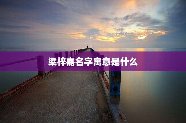 梁梓嘉名字寓意是什么