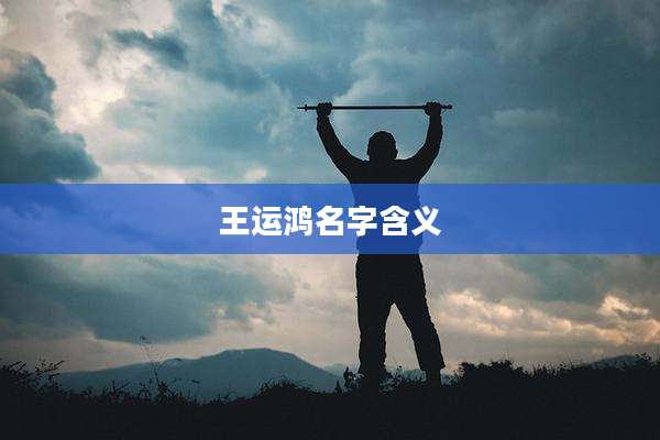 王运鸿名字含义