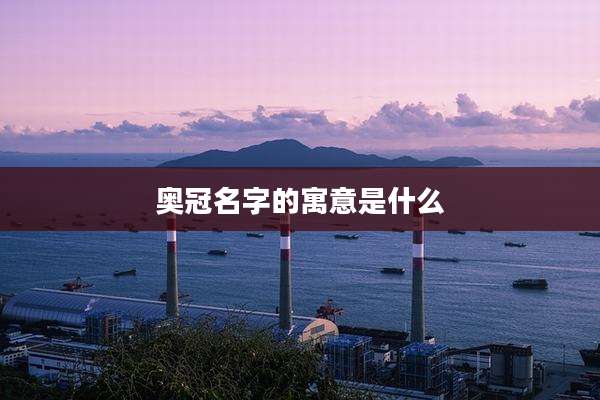奥冠名字的寓意是什么