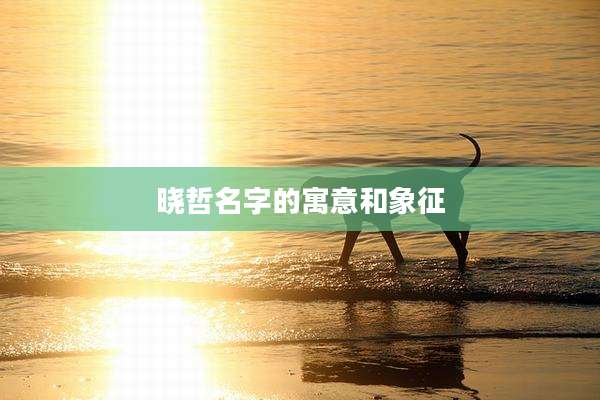 晓哲名字的寓意和象征