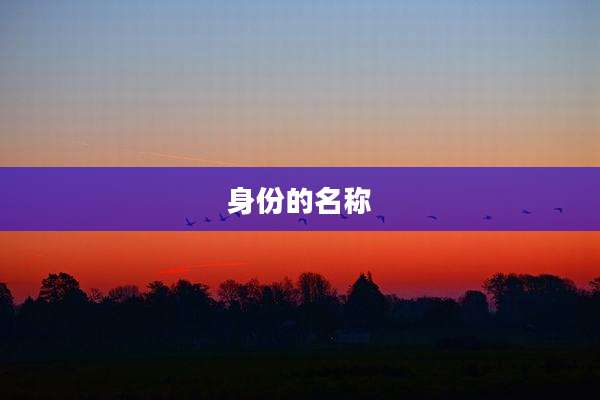 身份的名称