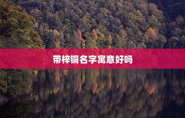 带梓铜名字寓意好吗