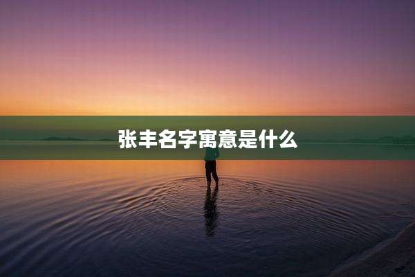 张丰名字寓意是什么