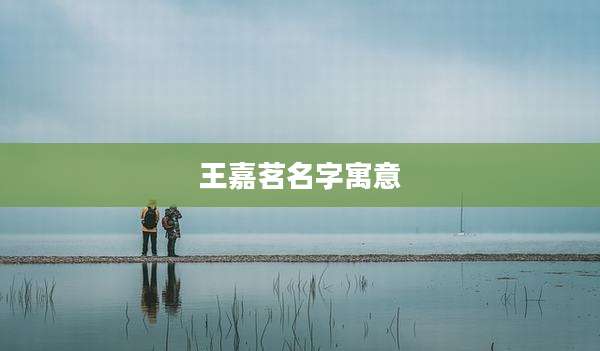 王嘉茗名字寓意
