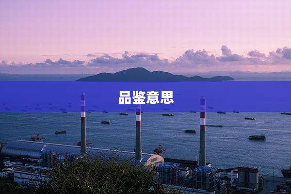 品鉴意思