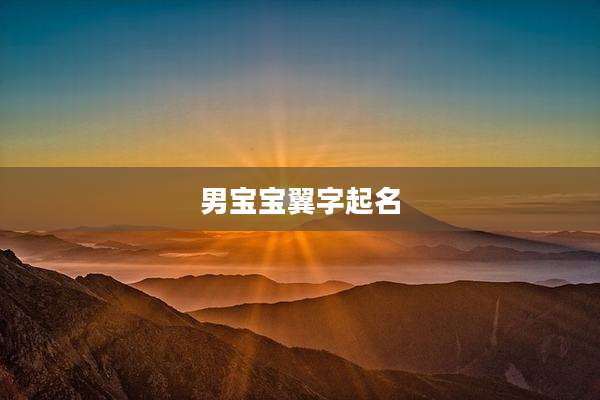 男宝宝翼字起名