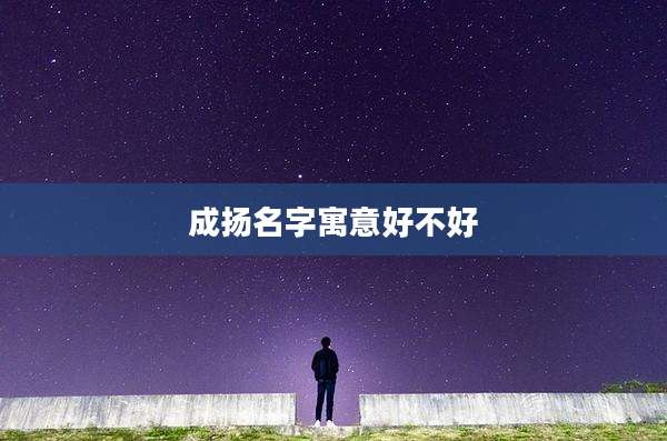 成扬名字寓意好不好