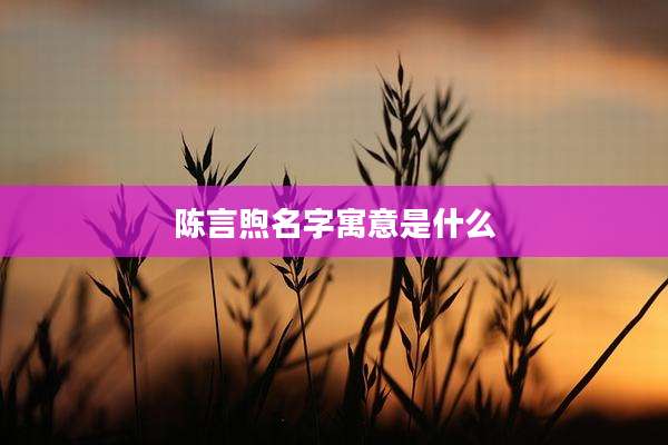 陈言煦名字寓意是什么