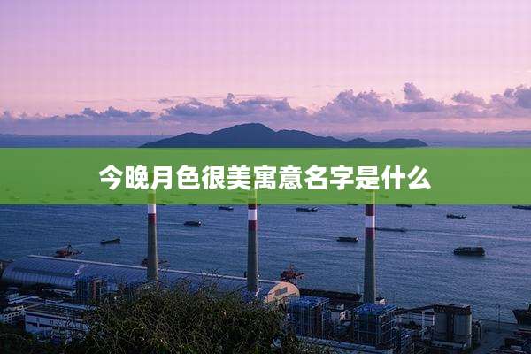 今晚月色很美寓意名字是什么