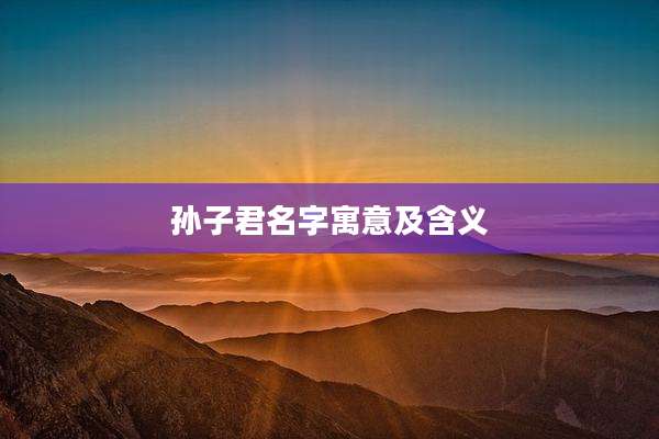 孙子君名字寓意及含义