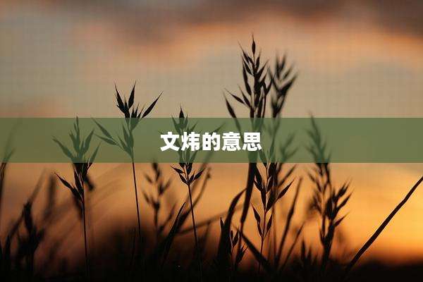 文炜的意思