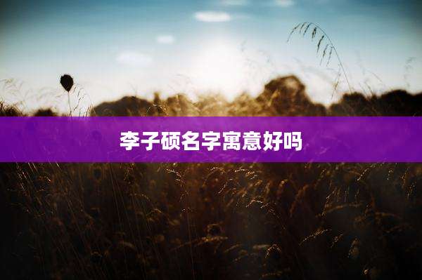 李子硕名字寓意好吗