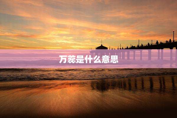 万蕊是什么意思