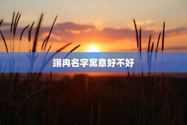 翊冉名字寓意好不好