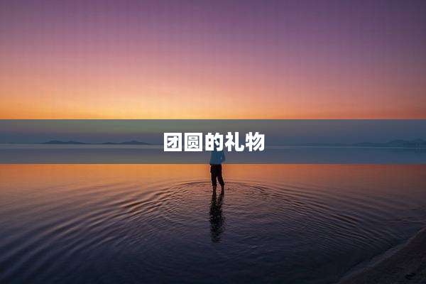 团圆的礼物