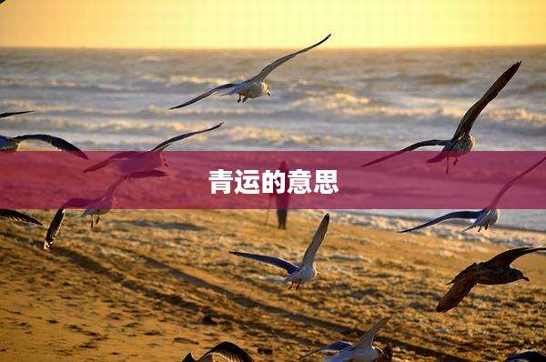 青运的意思