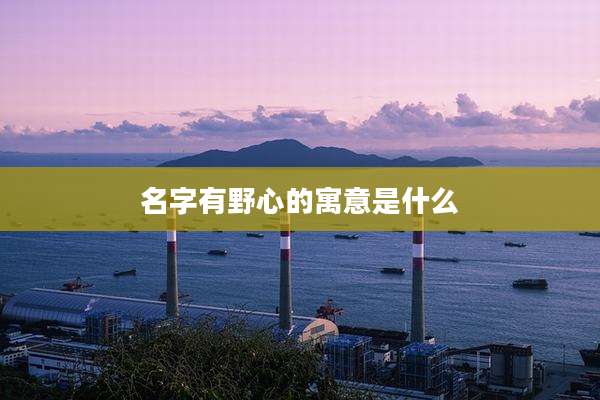 名字有野心的寓意是什么