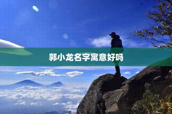 郭小龙名字寓意好吗