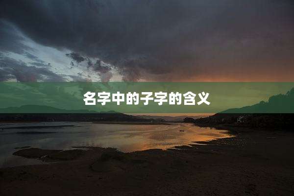 名字中的子字的含义