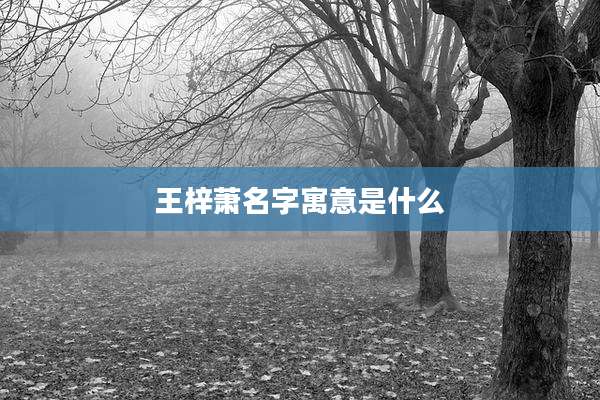 王梓萧名字寓意是什么