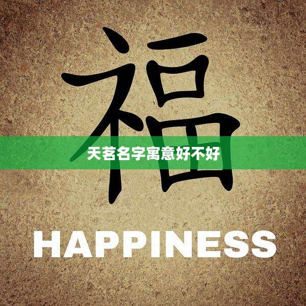 天茗名字寓意好不好