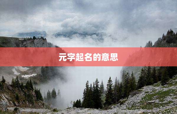 元字起名的意思