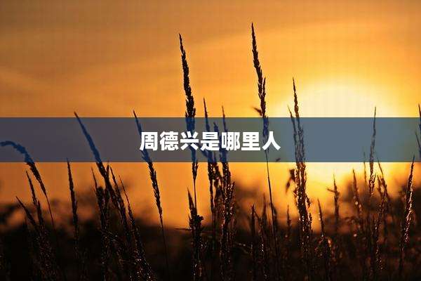 周德兴是哪里人