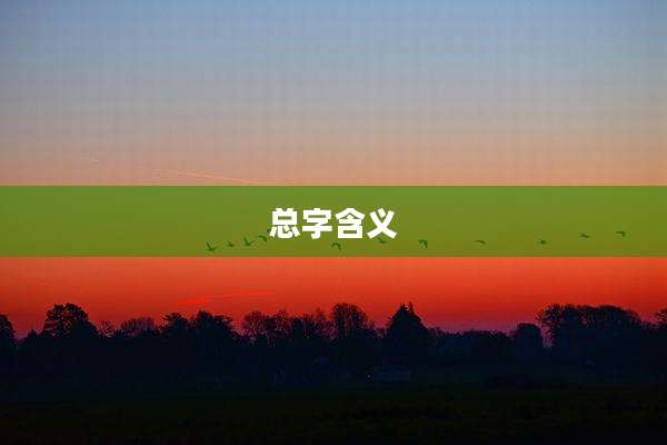 总字含义