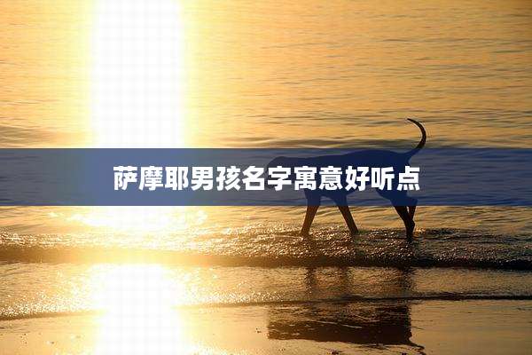 萨摩耶男孩名字寓意好听点