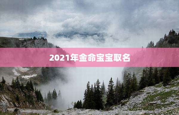 2021年金命宝宝取名