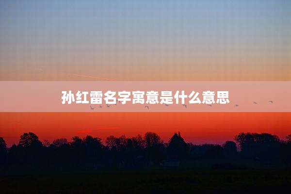 孙红雷名字寓意是什么意思