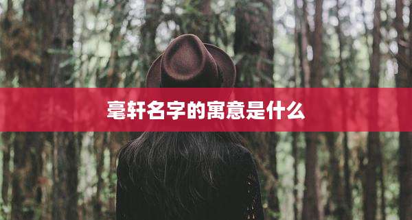 毫轩名字的寓意是什么