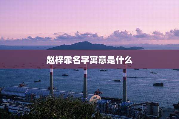 赵梓霏名字寓意是什么