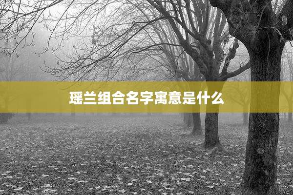 瑶兰组合名字寓意是什么
