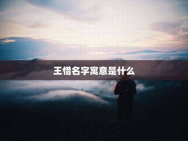 王惜名字寓意是什么