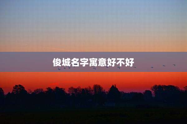 俊城名字寓意好不好