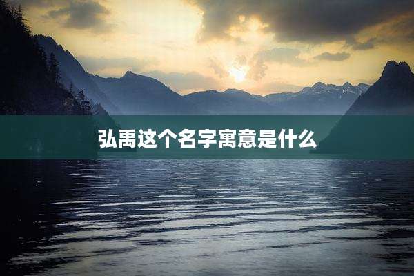 弘禹这个名字寓意是什么