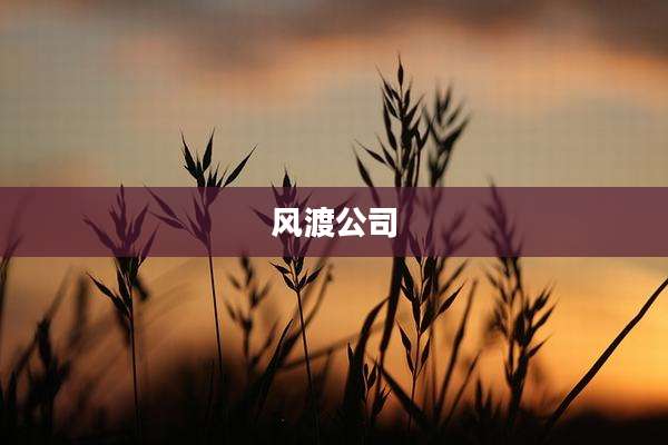 风渡公司