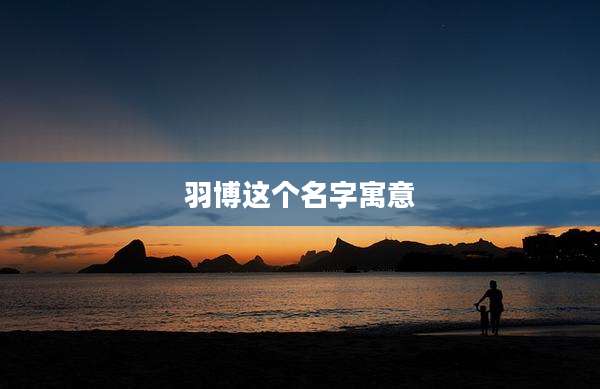 羽博这个名字寓意