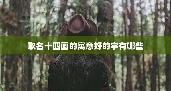 取名十四画的寓意好的字有哪些