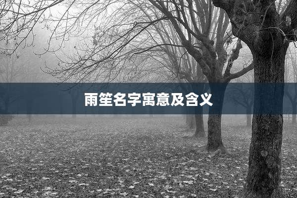雨笙名字寓意及含义