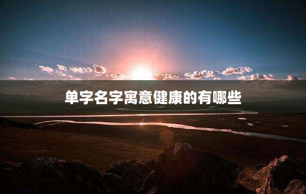 单字名字寓意健康的有哪些